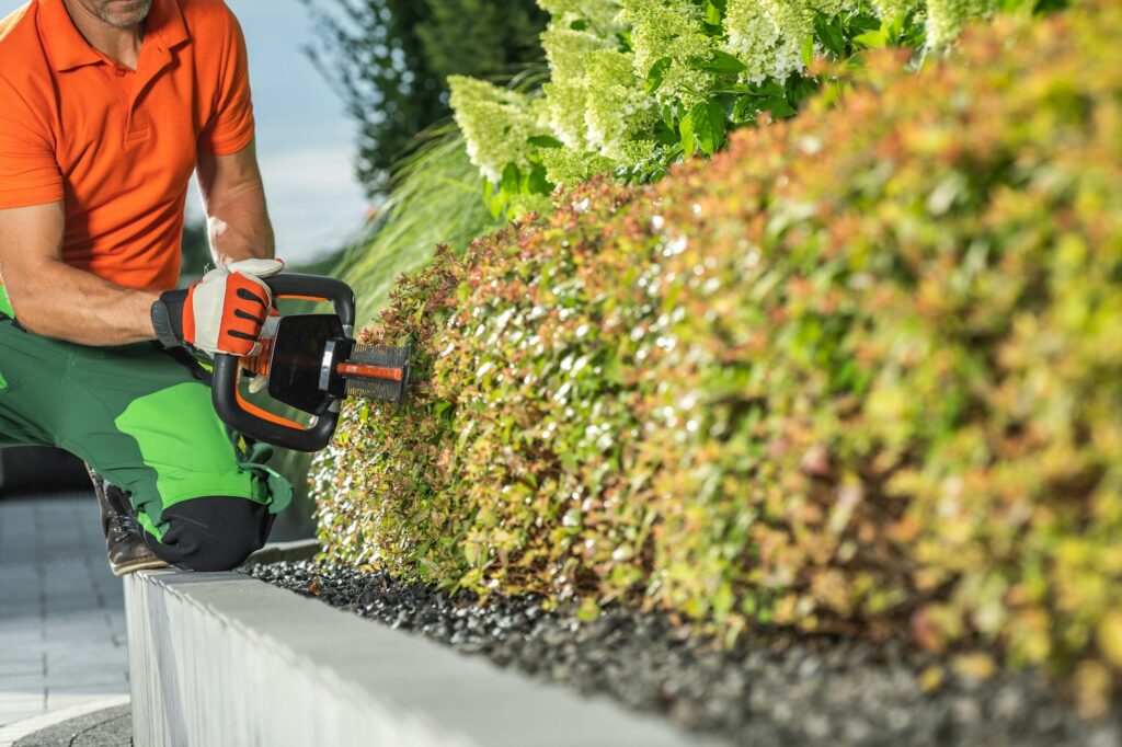 Garden Worker Insecticide Backyard Trees