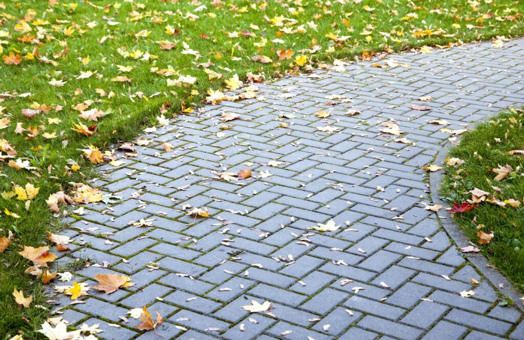 Paved pathway and green grass covered in yellow leaves in autumn